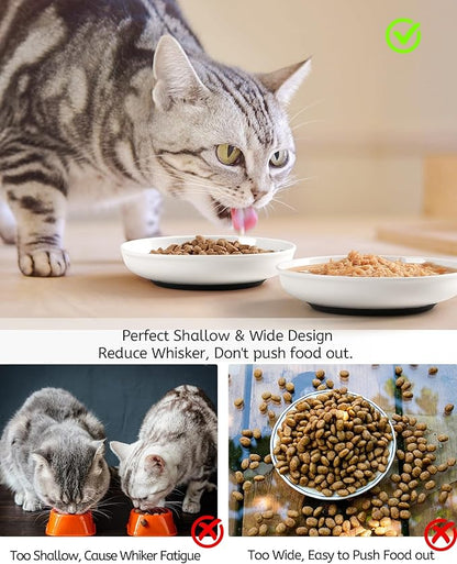 WROSWT No Spill Cat Bowls